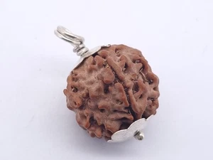 1 Mukhi Nepali Rudraksha Silver Pendant IGL Certificated Rudraksha Prayer Beads - Picture 1 of 5