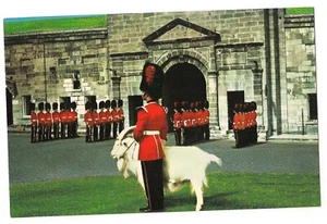 CAMBIO DELLA GUARDIA con CAPRA Cittadella Cittadella Quebec PQ Canada Cartolina - Foto 1 di 2