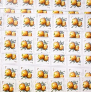 US # 5037 1c Apples (2017) - 100 Stamps / Coil Single Flat Strip (Fruit) MNH - Picture 1 of 3