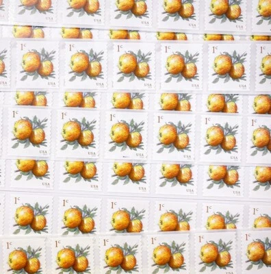US # 5037 1c Apples (2017) - 100 Stamps / Coil Single Flat Strip (Fruit) MNH - Image 1 of 3