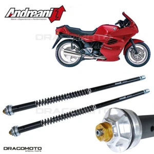 BMW K 1100 RS 1993-1997 cartridge ANDREANI 105/W06E MISANO EVO - Picture 1 of 5