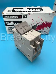 Square D Trilliant SDT230 30 Amp 2 Pole Circuit Breaker Type SDT 240VAC 30A *NEW - Picture 1 of 11
