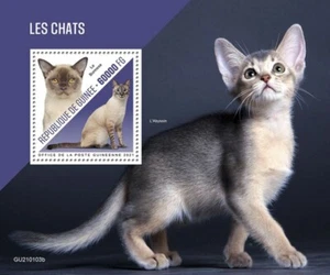 Guinea - Raza de gato birmano 2021 - Hoja de recuerdo de sello - GU210103b - Imagen 1 de 1
