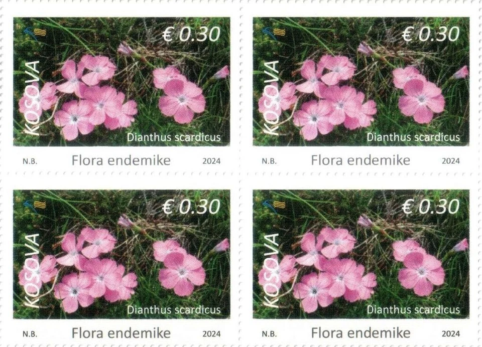 Estampillas de Kosovo 2024. Flora: Dianthus scardicus. Sellos definitivos 0,30 MNH Foto 1 de 1