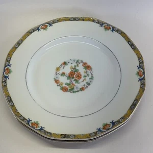 Theodore Haviland Chenonceaux Dinner Plates - Vintage - Set of 2 - Picture 1 of 5