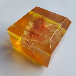 Lucite Briefbeschwerer Stroh Trockenblumen MCM Resin Britain Vintage 60er Würfel - Bild 1 von 12