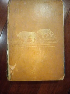 1893 Travel and Adventure in South-East Africa First Edition Illustrated - Picture 1 of 5