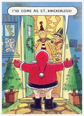 PAPERLINK Santa Christmas Card St Knickerless Rude Humour Joke Funny Open Male Female