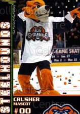 2007-08 Youngstown Steelhounds #11 Mascot