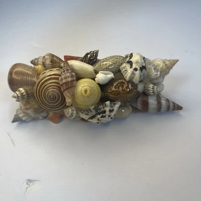 Clip de pelo incrustado Seashell pasador conchas reales boho playa sirena Foto 1 de 4