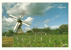 MOULIN à VENT de la HERPINIERE - Carte postale couleurs neuve - TURQUANT + ANJOU - Picture 1 of 1