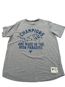 Under Armour Project Rock Champions Iron Paradise Tshirt Herren XXL grau - Bild 1 von 4