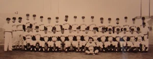 SAN FRANCISCO GIANTS 1962 TEAM PHOTOGRAPH - INCLUDING WILLIE MAYS & McCOVEY! - Picture 1 of 2