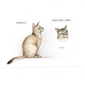 Sierra Leone 1996 - Cats of the World, Burmilla - Souvenir Sheet - 1895 - MNH - Picture 1 of 1