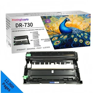 Tambor para Brother DR730 MFC-L2710DW L2750DW HL-L2350DW 2370 2390 2395 DCP-L2550DW - Imagen 1 de 4