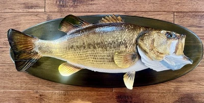 23” VINTAGE LARGE MOUTH BASS Taxidermy - Image 1 of 4