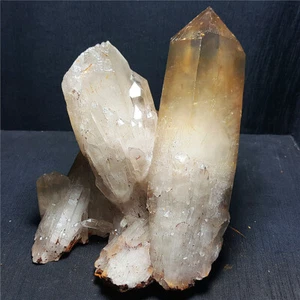 3320G Grupo de Cristal de Cuarzo Citrino Humeante Natural Espécimen Energía Curación EE01 - Imagen 1 de 12