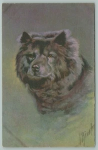 Artist Signed I. Rivst~Chow-Chow Dog~Black w/Brown Eyes~Fluffy Lion Coat~Swiss - Picture 1 of 2