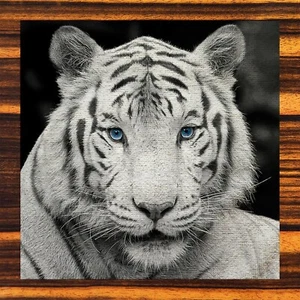 TIGRE BENGAL BLANCO - Lavaderos NUEVO Juego de 8 Coleccionistas - Imagen 1 de 8
