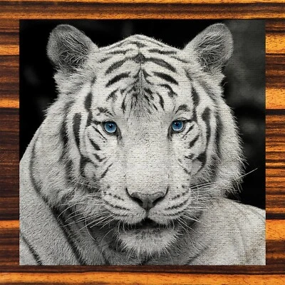 TIGRE BENGAL BLANCO - Paños NUEVO Juego de 8 Coleccionistas Foto 1 de 4