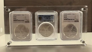 3 Grids Crystal Acrylic Display Frame Protector For NGC/PCGS/ICG Mixed Holders - Picture 1 of 24