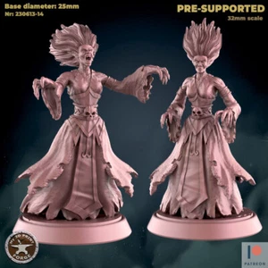 Banshee von My3dPrintForge Dnd, Dungeon and Dragon Mini, Tabletop Miniatur - Bild 1 von 4