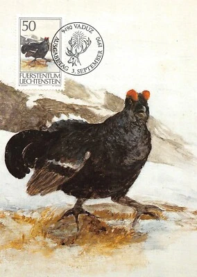 Card Maximum FDC Liechtenstein Hunting II 1990 September Mk 97 n3 - Image 1 of 2