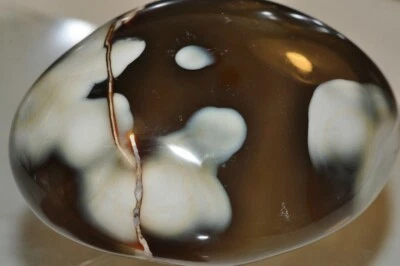 3" 272 Gms "Coleccionable/Impresionante"~ORCA CORNALINA ÁGATA Jumbo Palm Stone J1300 Foto 1 de 4