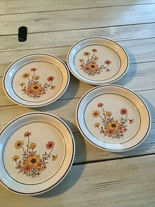 lot 4 set Nitto Overtones Painted Desert 7 1/2" Salad Plate 1021 Japan - Picture 1 of 6