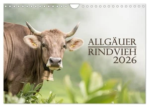 Allgäuer Rindvieh 2026 (Wandkalender 2026 DIN A4 quer), CALVENDO Monatskalender - Bild 1 von 9