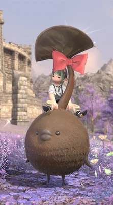 FINAL FANTASY XIV Chocor Pockle Mount FF14 Region Free