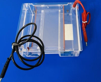 Mini-subcélula Bio Rad eletroforese larga com bandeja - Imagem 1 de 4