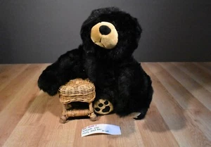 Felpa Wishpets Molly the Black Bear 2000 (310-2034-1) - Imagen 1 de 7
