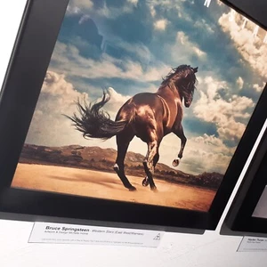 Bruce Springsteen LP Art - 12" Vinyl Record & Album Cover Frame Multipack -Black - Picture 1 of 11