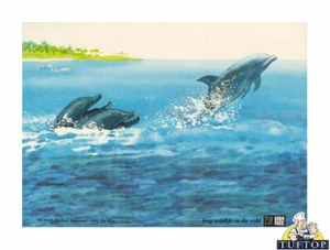 Dolphins Tuftop Worktop Saver Glass Chopping Board Large 40x50 - Picture 1 of 1