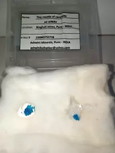 Cavansite on Okenite & Cavansite on Stilbite set of 2 minis India - Picture 1 of 4