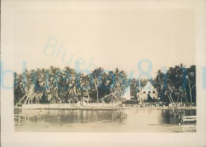 1931 Royal Navy Officer photo, Fishing nets at Cochin India 3.5*2.5" - Picture 1 of 2