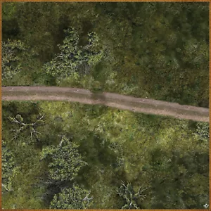 Swamp Road 36" x 36" Battle Mat For D&D, Pathfinder Miniature Tabletop Games - Picture 1 of 2