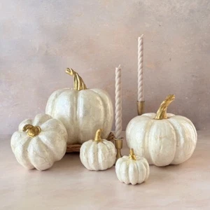 Capiz Ivory Pumpkin, Thanksgiving Pumpkin - Bild 1 von 11