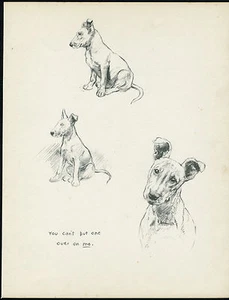 BULLTERRIER CHARMANTE BILDER SCHÖNE VINTAGE 1930ER HUNDEKUNSTDRUCK von KF BARKER - Bild 1 von 1