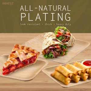 Palm Leaf Plates Small 4" Disposable Plates 25 Pack Sturdy Bamboo Party Plate... - Picture 1 of 1