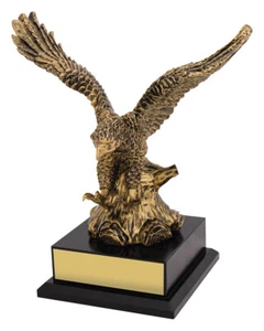 SOARING SUCESS TROPHY CHARACTER EAGLE FREE ENGRAVING PERSONALISED 235MM - Bild 1 von 1