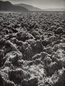 1954 Vintage ANSEL ADAMS Death Valley Floor Salt Flats Landscape Photo Engraving - Picture 1 of 1