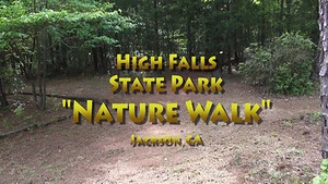 "HIGH FALLS STATE PARK VIRTUAL WALK" Treadmill, Stair Stepper, Exercise DVD - Imagen 1 de 12