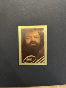 2001 Panini Harry Potter/Philosophers Stone Sticker FOILS #28 Hagrid - Picture 1 of 3