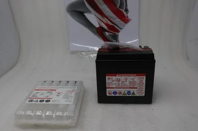 BATERÍA NUEVA YUASA YTX14L-BS 581329 Foto 1 de 3