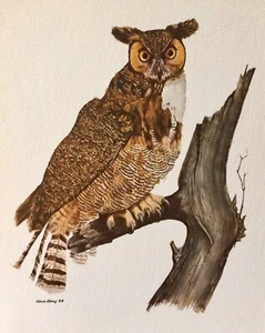 Owl On Branch   - Gene Gray Vintage Art Card - Old Stock - Imagen 1 de 1