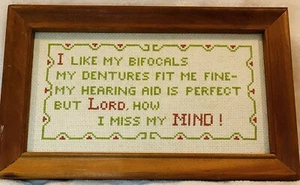 Cross Stitch Complete Dentures I Lost My Mind Funny Over The Hill County Chic - Picture 1 of 10