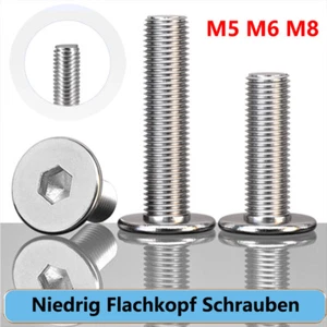 M5 M6 M8 Niedrig Flachkopf Schrauben Flachkopfschrauben Innensechskant Edelstahl - Bild 1 von 9
