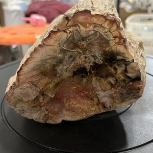 10.01LB Natural Jurassic tree fossil crystal specimens Healing 4550g - Picture 1 of 19